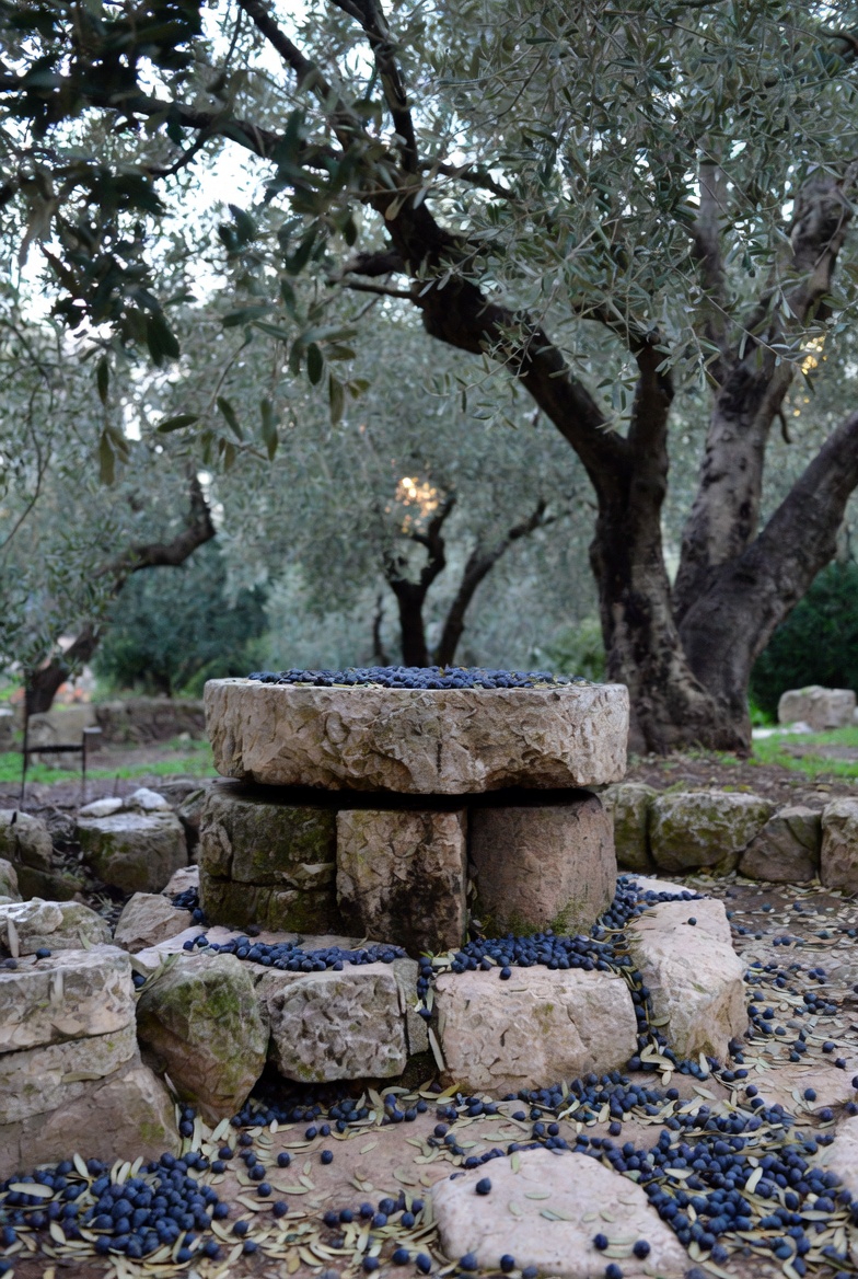 A photograph of an oil press in the Garden of Gethsemane, symbolizing olive crushing in a solemn setting.
